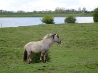 Blauwe Kamer Rhenen 26