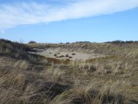 Domburg 50