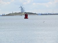 Hoek van Holland 2017 57