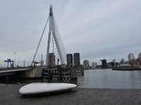Rotterdam 2017 29