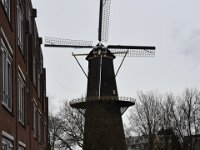 Schiedam 2017 9