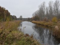 Hollandse Biesbosch 10