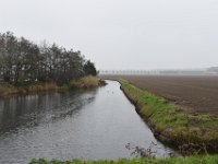 Hollandse Biesbosch 11