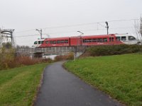 Hollandse Biesbosch 37