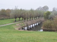 Hollandse Biesbosch 38