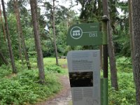 Hunebedden 2017 108  Hunebed D31 Exloo