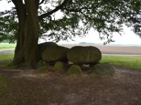 Hunebedden 2017 66  Hunebed D21 Bronneger