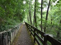 National Park Eifel 2017 4