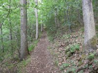 National Park Eifel 2017 9