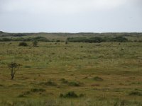 Ameland-Nes 45