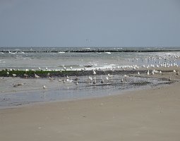 Vlieland Posthuys 27