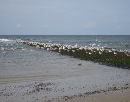 Vlieland Posthuys 28